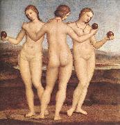 RAFFAELLO Sanzio The Three Graces F oil painting on canvas